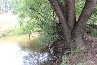 Upstream