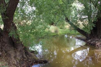 Down stream