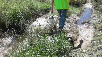 water over the track to Blind Creek has lessened considerably but still wet, muddy and slippery. We wear gumboots and take great care