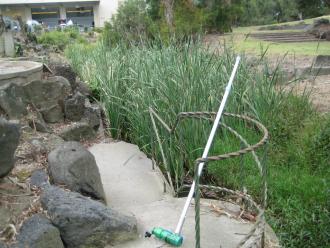 lots of vegetation in the waterway at YDI838