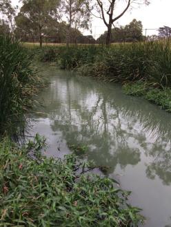 upstream