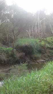 Erosion from instream