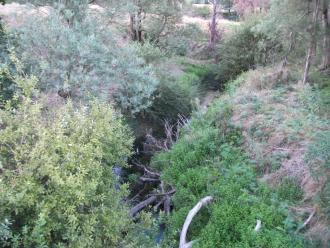 View north from bridge.