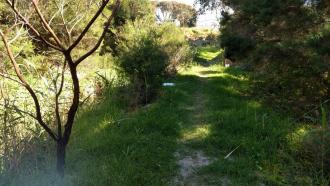 Site looking north (downstream)