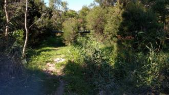 Site looking south (upstream)