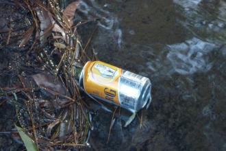 Litter at Falls Reserve