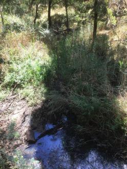 downstream