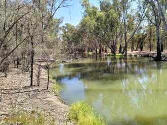 Downstream