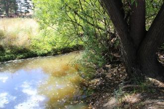 Upstream