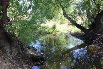 Down stream