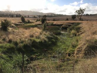 very muddy and very little water near fence closer to photographer pool is noticeably smaller than 2 weeks ago