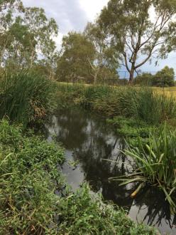 upstream