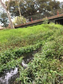 upstream