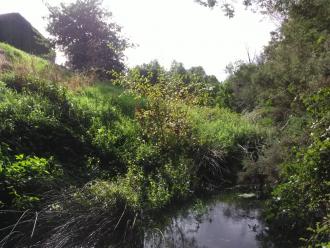 Veiw north under bridge