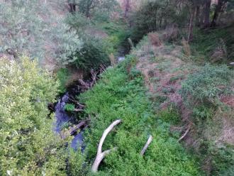 Veiw south from bridge