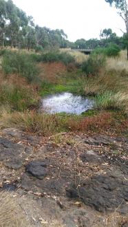 pool looking towards doggetts bridge