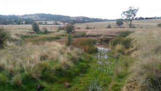 pool looking away from Doggetts bridge