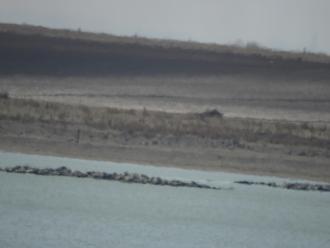 Rocks in Lake, North of viewing point. zoomed in