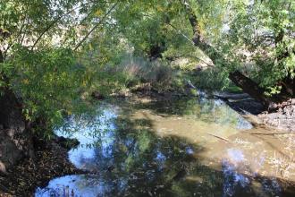Down stream