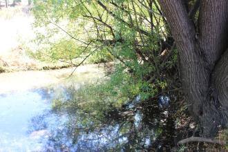Upstream
