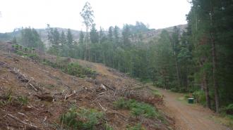 View Frontage Rd portable toilet and logged areas adjacent the Falls Reserve.