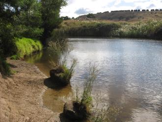 Creek noticibly low