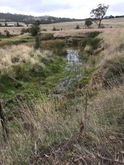 looking away from Doggetts Bridge