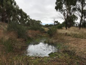 refuge pool 50mts from Doggets Bridge