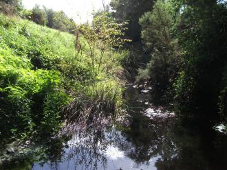 Veiw north under bridge