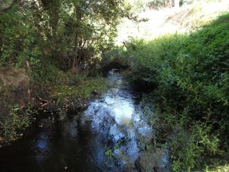 Veiw south under bridge