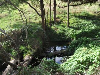 veiw upstream of testing site