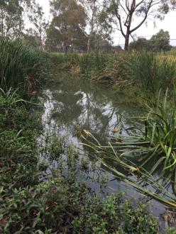 upstream