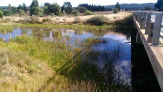 Musty's bridge