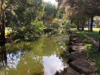 looking downstream from FP