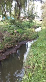 Stony Creek, ME_MSO660, downstream