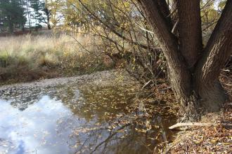 Upstream