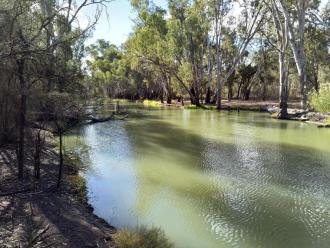 Downstream
