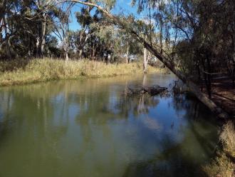 Upstream