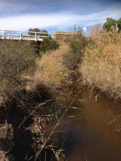 looking east (upstream)