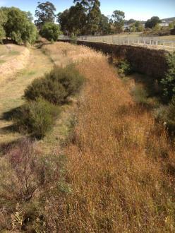 looking downstream from footbridge