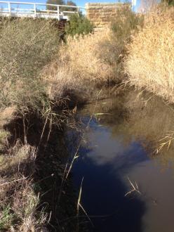 looking upstream