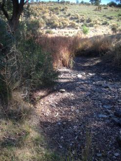 looking downstream