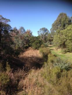 looking upstream