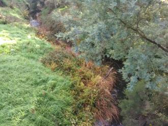 View north from bridge