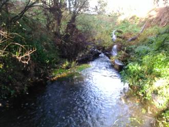 View south under bridge