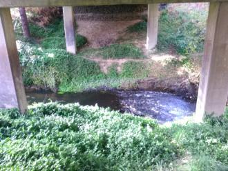 View of creek from west bank