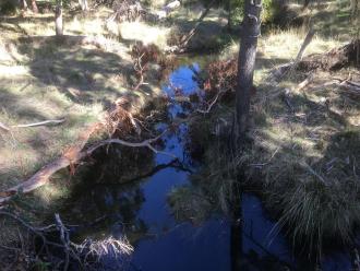 upstream