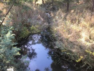 downstream