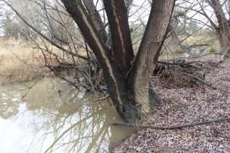 Upstream
