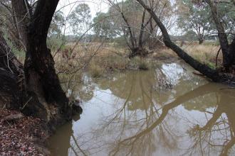 Down stream